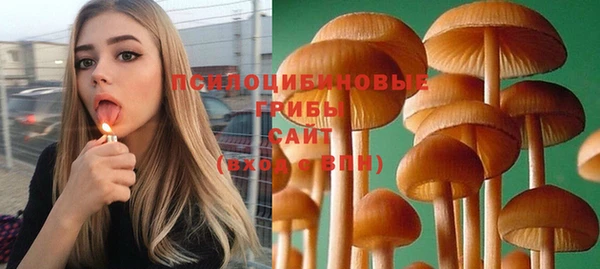 дурь Баксан